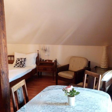 Kadaň Apartments U Kasny מראה חיצוני תמונה